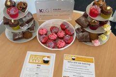 Kalra-Legal-Group-Copy